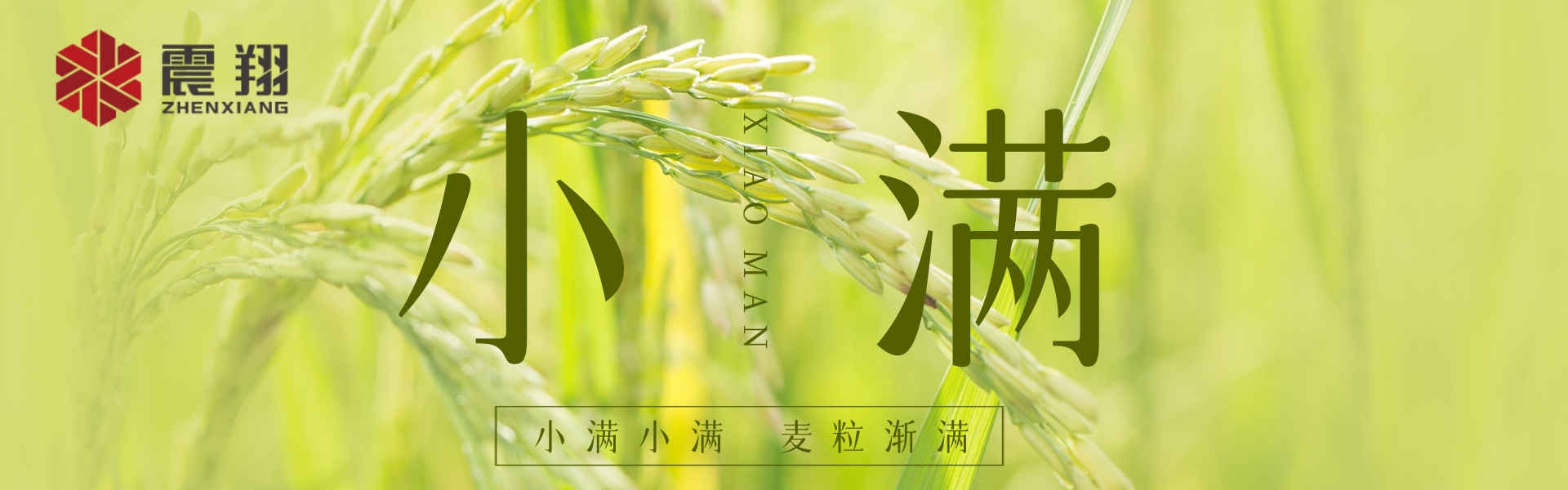 小滿|???????小滿小滿，江河漸滿。