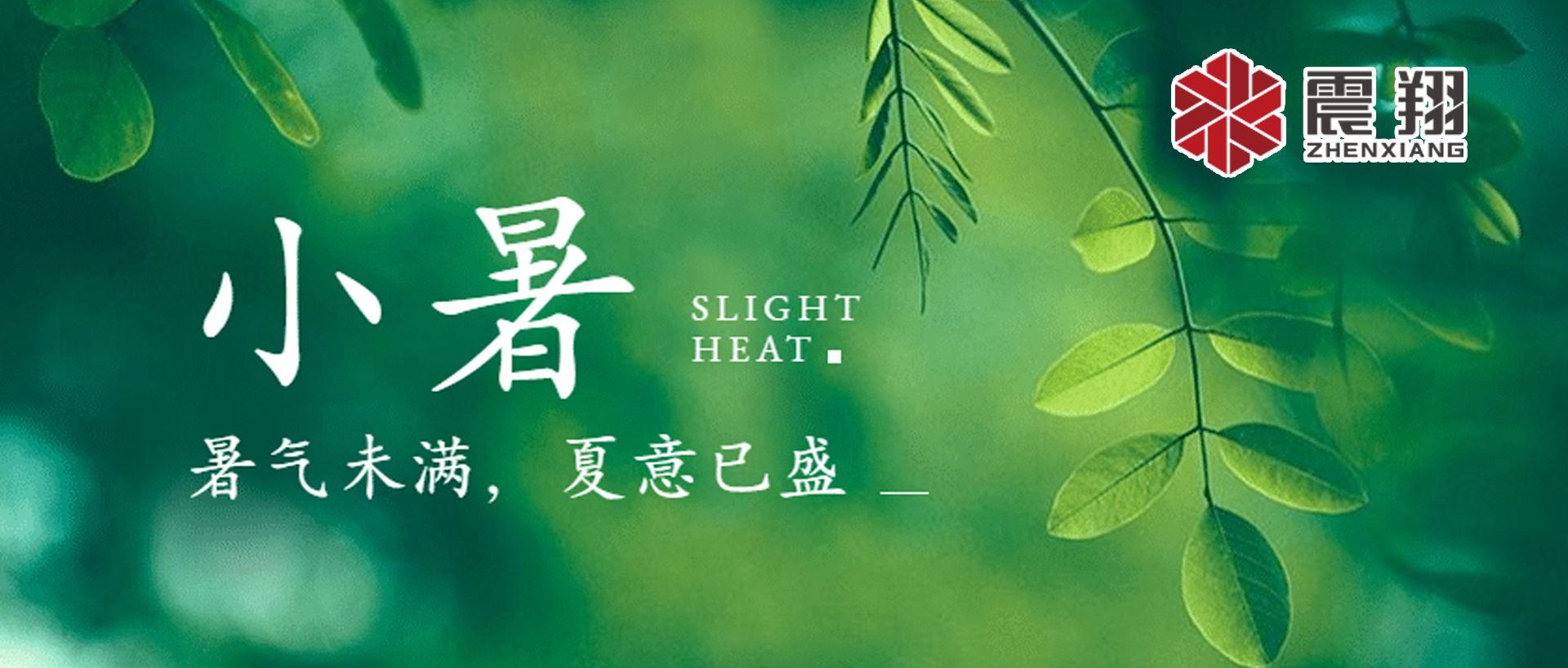 小暑| 標志著夏季的正式開始，也是一年中最熱的時候之一