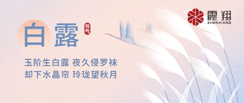 白露|露已凝，夜微涼